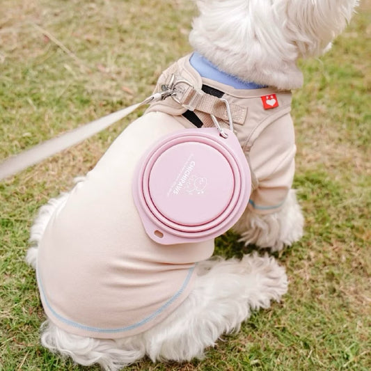 Chichipaws Portable Pet Collapsible Silicone Bowl