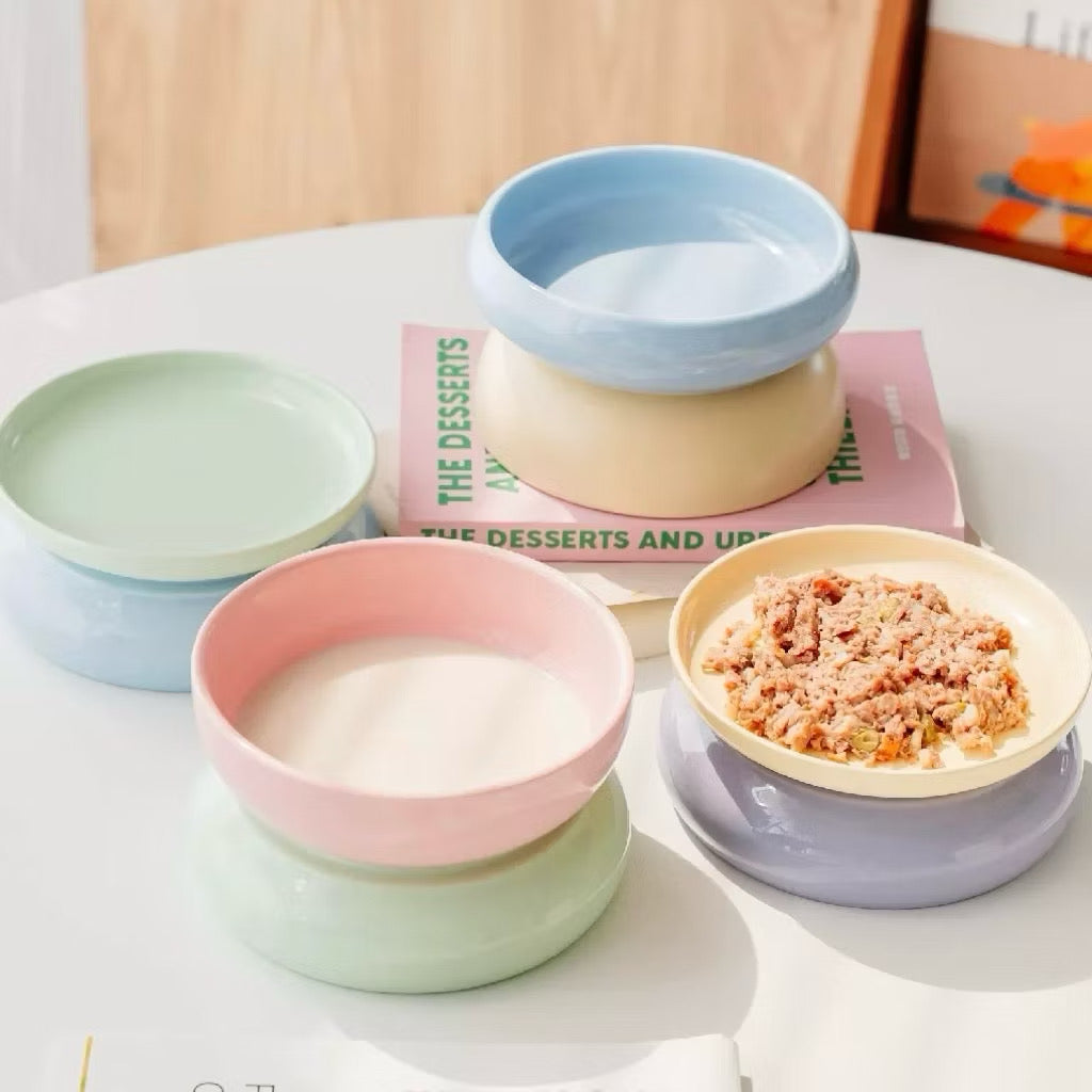 Chichipaws Double-Sided Ceramic Pet Bowl