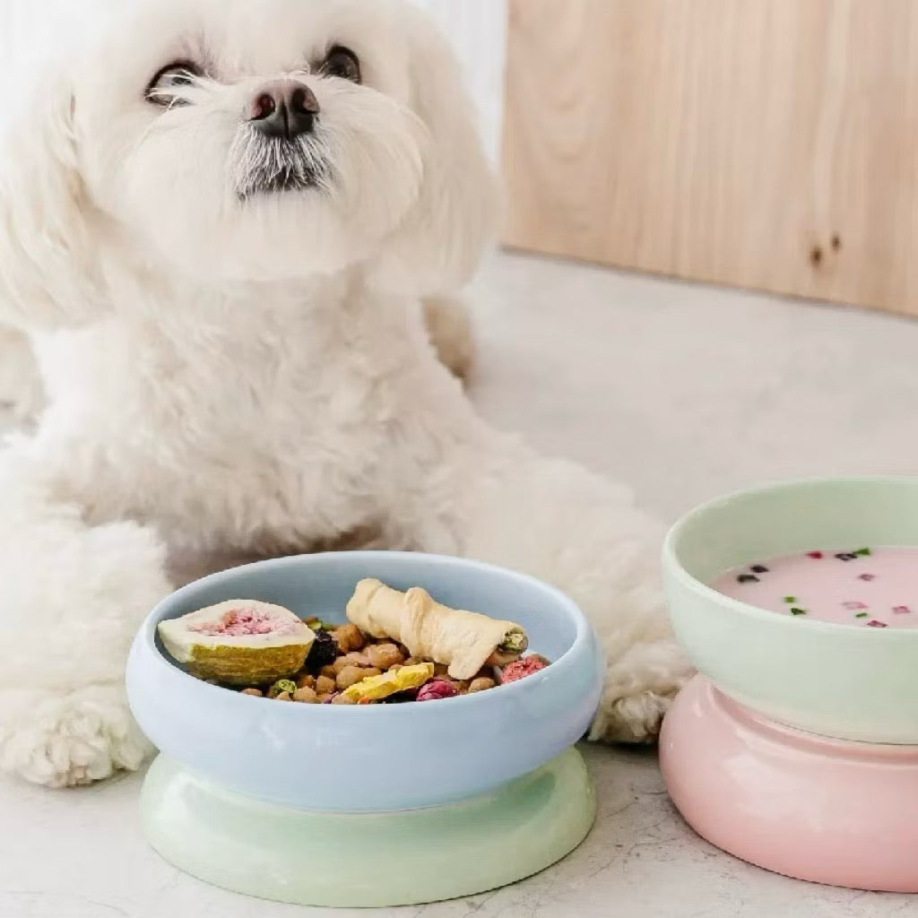 Chichipaws Double-Sided Ceramic Pet Bowl