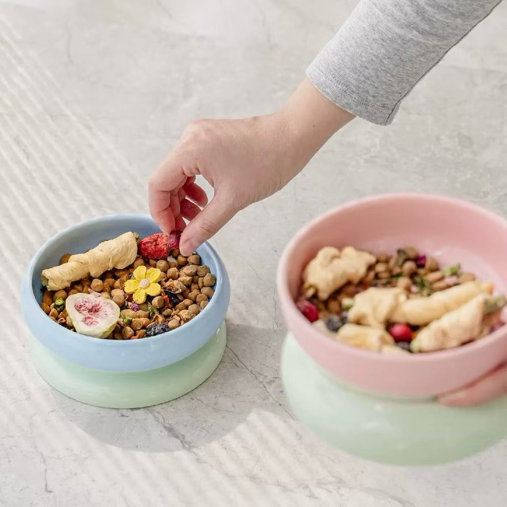 Chichipaws Double-Sided Ceramic Pet Bowl