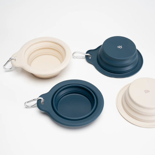 Chichipaws Portable Pet Collapsible Silicone Bowl